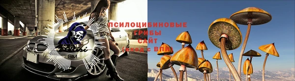 хмурый Верея