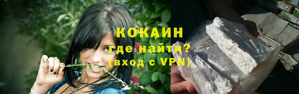 шишки Верхний Тагил