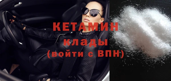 хмурый Верея