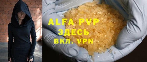 хмурый Верея