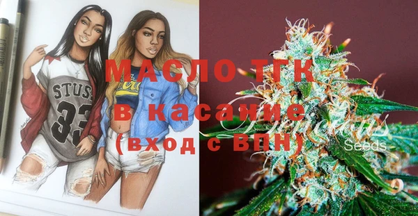 хмурый Верея