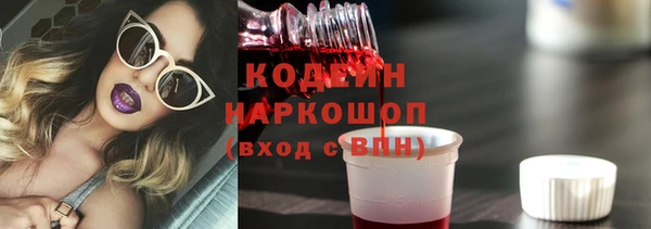 шишки Верхний Тагил