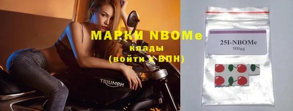 шишки Верхний Тагил