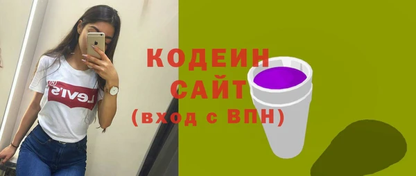 шишки Верхний Тагил