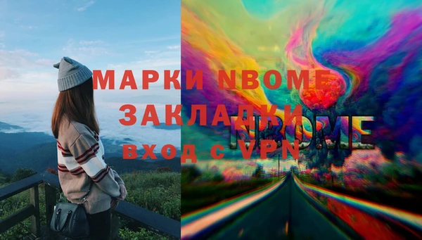 хмурый Верея