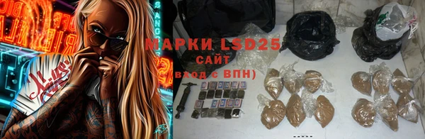 хмурый Верея