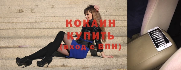 шишки Верхний Тагил