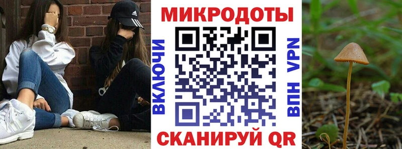 kraken ССЫЛКА Яхрома Псилоцибиновые грибы Cubensis